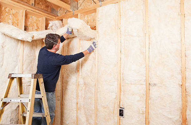 Best Reflective Insulation in Johnston, IA